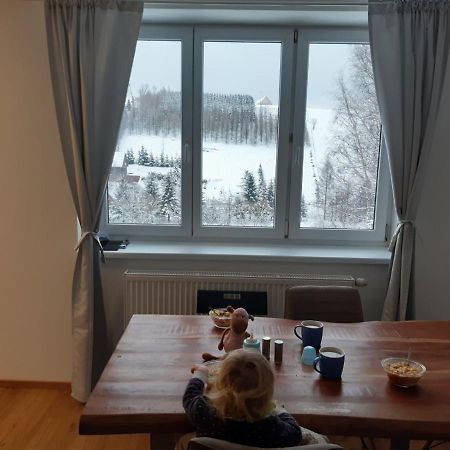 Apartman U Kunstatskeho Mlyna Orlicke Zahori 외부 사진