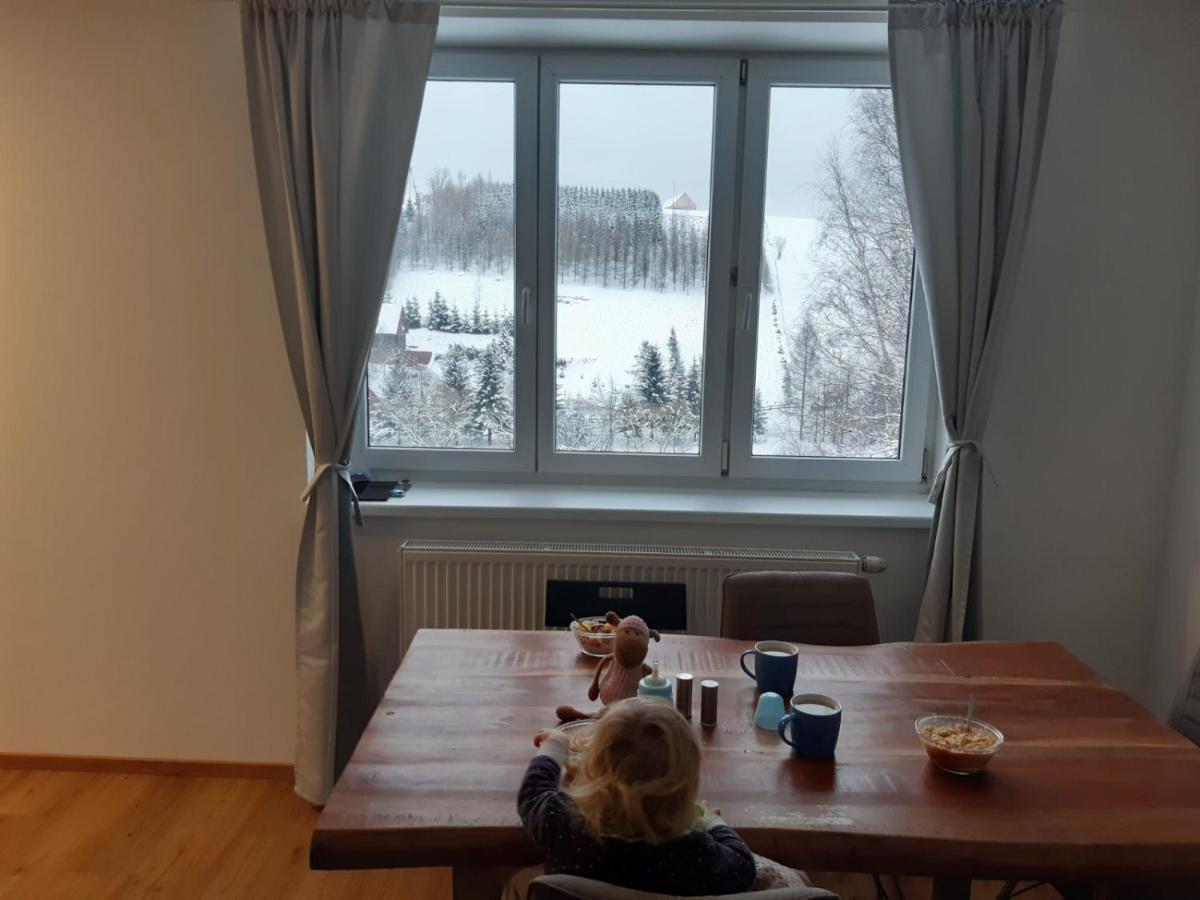 Apartman U Kunstatskeho Mlyna Orlicke Zahori 외부 사진