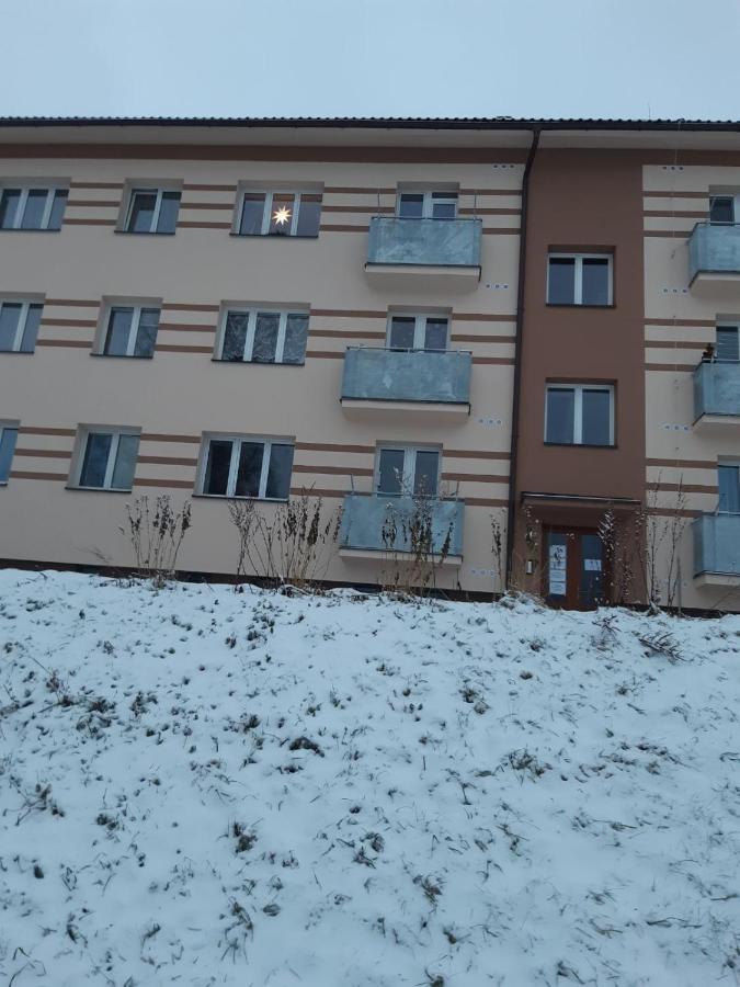 Apartman U Kunstatskeho Mlyna Orlicke Zahori 외부 사진