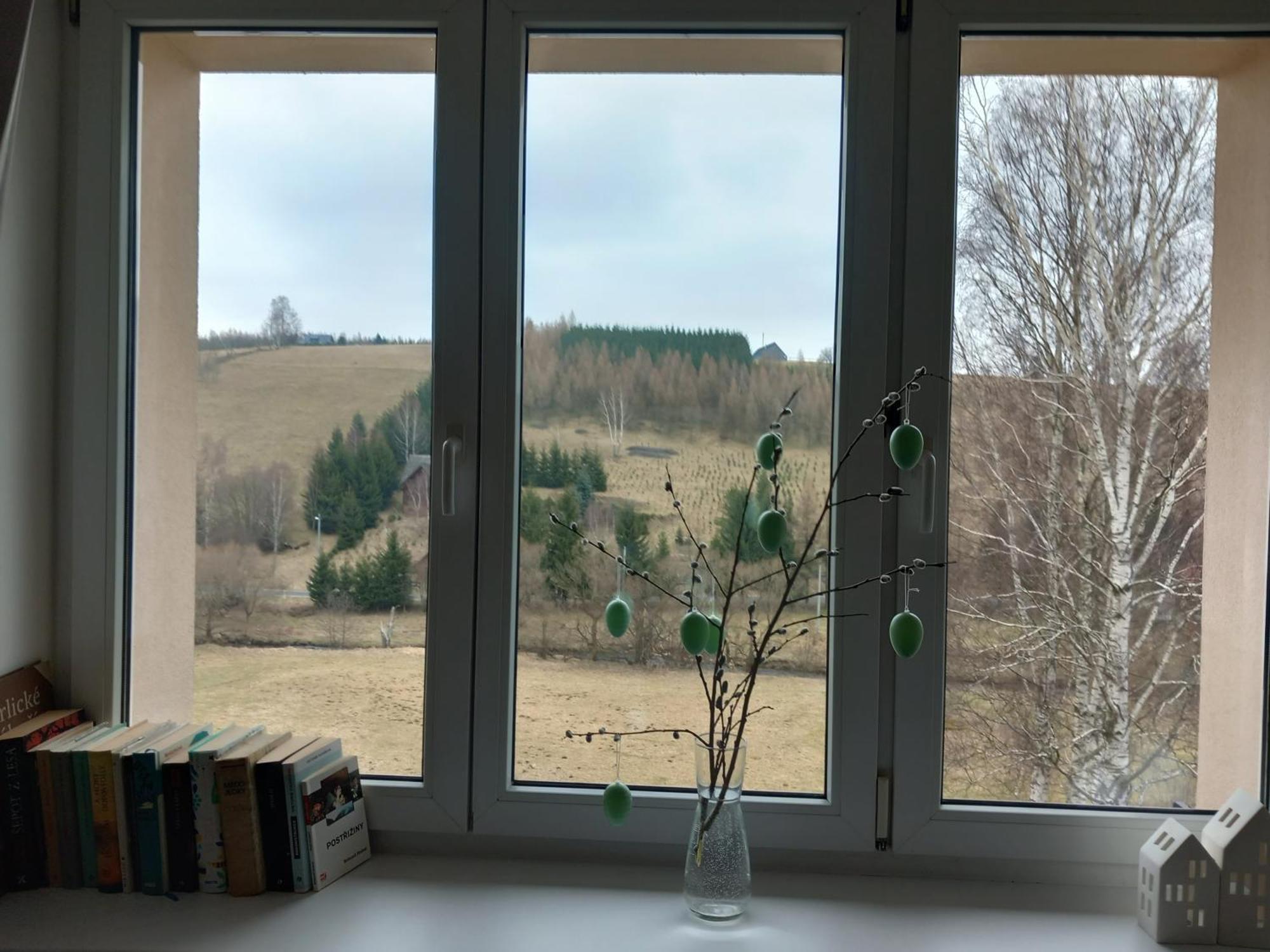 Apartman U Kunstatskeho Mlyna Orlicke Zahori 외부 사진